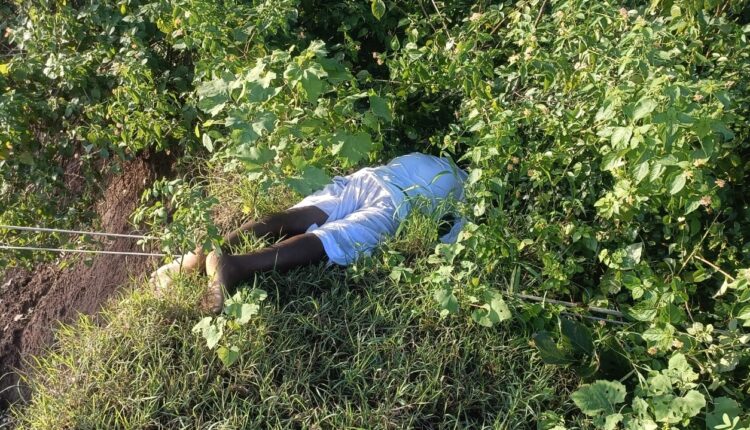 Farmer dies after being hit by electric wires
