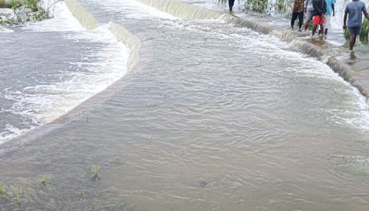 A wet constituency