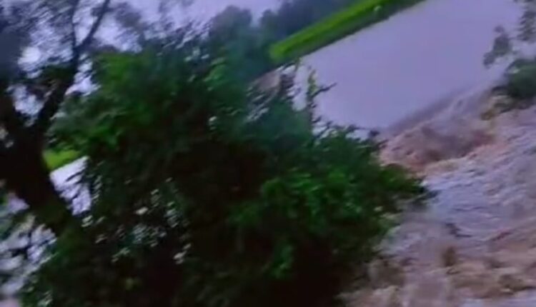 Edla Dam is a fast-flowing stream